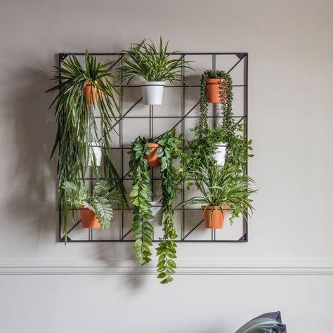 Indoor Wall Planter Ideas, Vertical Garden Wall Planter, Garden Wall Planter, Kitchen Revamp, Greenery Wall, Wall Planters Indoor, Wall Planters, Vertical Garden Wall, Terracotta Wall