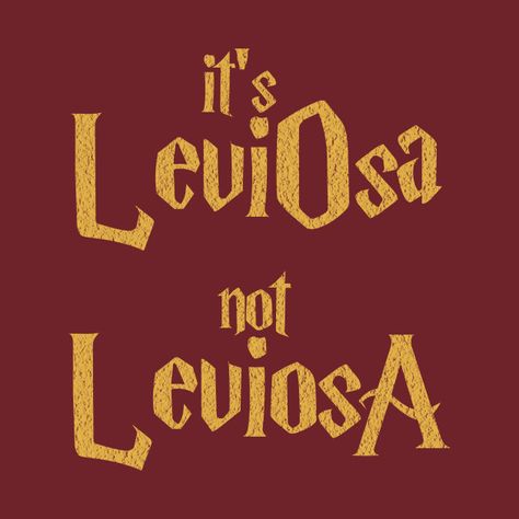 It’s Leviosa Not Leviosa, Its Leviosa Not Leviosa, Harry Potter Leviosa, Hermione Wallpaper, Magical Crafting, Leviosa Not Leviosa, Harry Potter Poster, Harry Potter Tshirt, Hp Harry Potter