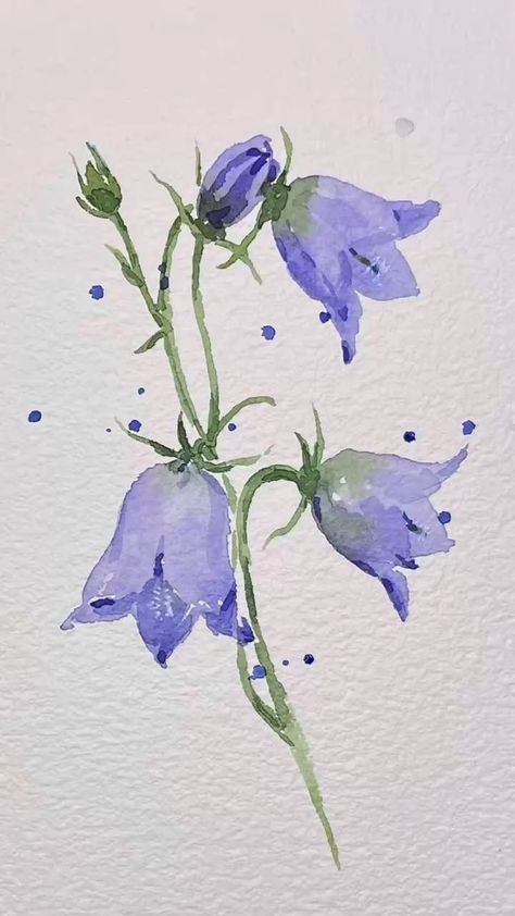 Paint watercolour purple campanula flowers | LINDAartdiary | No Copyright Prod · Vi An Mwen (feat. Alick Richer & G.W.O) Bell Flower Wallpaper, Purple Flowers Watercolor Painting, Drawing Flowers Watercolor, Purple Watercolor Painting, Watercolor Purple Flowers, Purple Flowers Drawing, Purple Flower Drawing, Purple Campanula, Watercolour Beginner