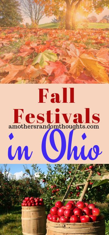Fall Festivals In Ohio, Ohio Vacations, Fruit Farm, Fall Festivals, Ohio Travel, Fun Fall Activities, Northeast Ohio, Fall Travel, Random Thoughts