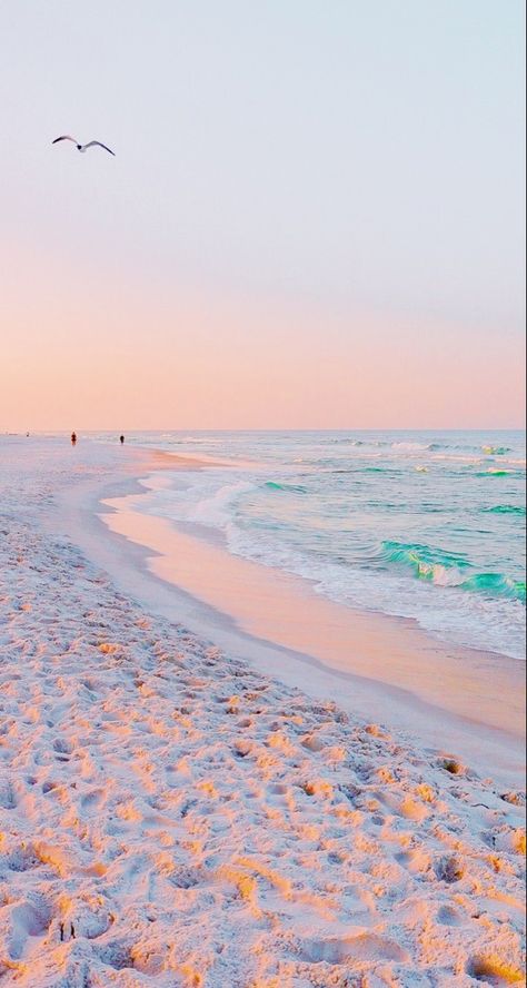 Cute Aesthetic Beach Wallpaper, Ipad Wallpaper Beach Aesthetic, Landscape Beach Aesthetic, Beach Theme Wallpaper Iphone, Summer Aesthetic Wallpaper Beach, Preppy Ocean Wallpaper, Cute Wallpapers Beach, Preppy Wallpaper Beach, Aesthetic Trendy Wallpaper Iphone