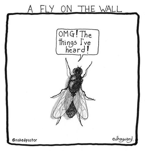 Ever Wished You Could be a Fly on the Wall? (For Designers Only) Humour, Fly On The Wall, Wall Print, Bones Funny, The Wall, Make Me Smile, Favorite Quotes, I Laughed, Picture Video