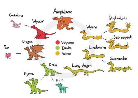 Dragons, drakes, wyrms, etc graph Types Of Dragons, Different Types Of Animals, Sea Serpent, Types Of Animals, Creature Drawings, Fantasy Creatures Art, Mythical Creatures Art, Mythological Creatures, Dragon Drawing