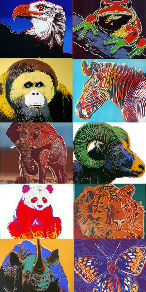 Endangered Animals Project, Species Poster, Andy Warhol Drawings, Species Design, Andy Warhol Artwork, Endangered Species Art, Animals Graphic, Andy Warhol Inspired, Andy Warhol Pop Art