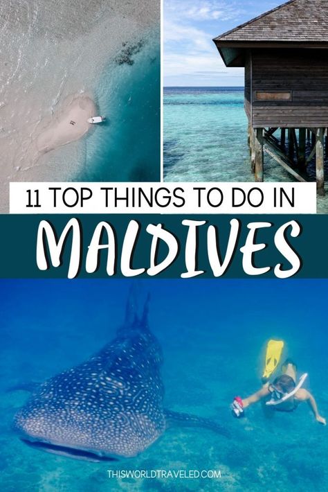Things To Do Maldives, What To Do In Maldives, Things To Do In The Maldives, Places To Visit In Maldives, Maldives Activities Things To Do, Things To Do In Maldives, Maldives Bucket List, Maldives Excursions, Maldives Activities