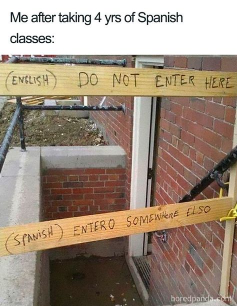 30 Funniest Memes About Spanish Language For People That Tried Learning It Humour, Humour Quotes, Funny Animal Quotes, Animal Tumblr, Funny Friday Memes, Monday Memes, 9gag Funny, Funny Memes About Girls, Humor Quotes