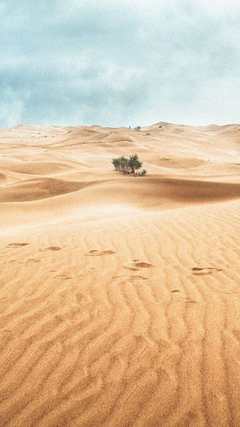 Desert Dune Sand Landscape background Desert Background Wallpapers, Background Desert, Desert Images, Dune Landscape, Desert Wallpaper, Sand Background, Sand Landscape, Desert Background, Christmas Background Images