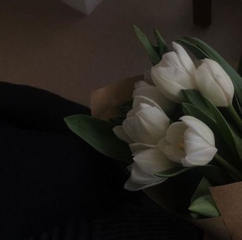 Flowers 🌺 on Twitter: "… " Tulips Aesthetic, Seni Vintage, Fotografi Vintage, Dark Grunge, Dark Paradise, White Tulips, Foto Ideas Instagram, Night Aesthetic, Flower Aesthetic