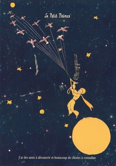 The Little Prince by Antoine de Saint-Exupery | 18 Classic Children’s Books From Around The World Prince Poster, Recuerdos Primera Comunion Ideas, Bizarre Books, Popular Childrens Books, Classic Childrens Books, Little Prince, The Little Prince, Classic Kids, Children's Book Illustration