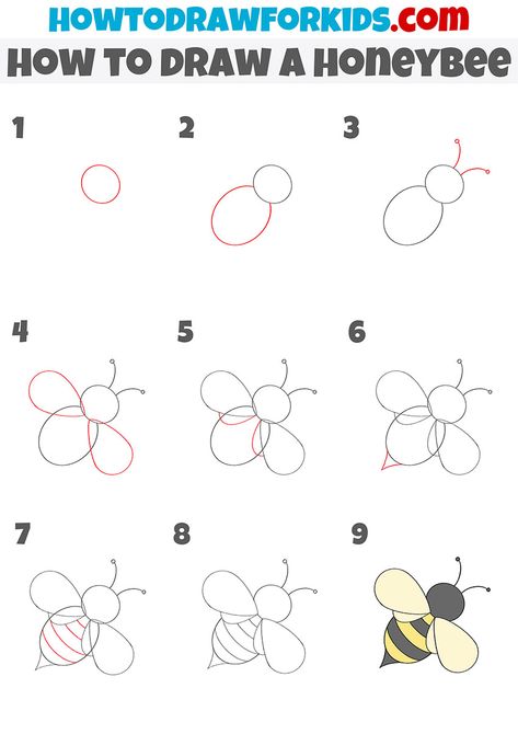 how to draw a honeybee step by step Simple Honey Bee Drawing, Easy Bees To Draw, How To Draw A Bumblebee, How To Draw Honey Bee, Honeybee Drawing Simple, Easy Bugs To Draw, Drawing Bees Simple, Bug Drawing Easy, Draw Bees Simple