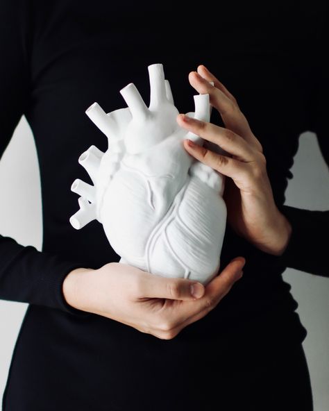 Anatomical heart vase hands Heart In Hand Reference, Hands Offering Drawing, Person Holding A Heart Reference, Holding Heart Pose Reference, Holding Skull Reference Drawing, Holding Something In Hands Pose, Hand Holding Out Reference, Someone Holding A Heart Drawing, Reference Poses Holding Something