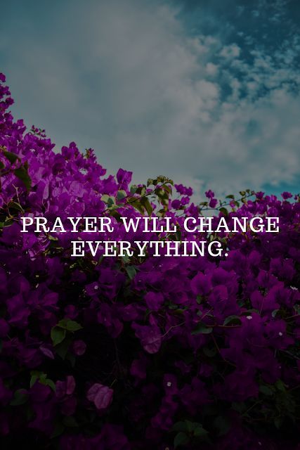 Prayer Will Change Everything.  #PrayerQuotes #DivinePrayerQuotes #Quoteish Best Qoutes, Prayer Changes Things, Prayer Scriptures, Faith Prayer, Allah Islam, Faith Inspiration, Quotes And Sayings, Power Of Prayer, Prayer Quotes