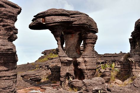 Venezuela, La Gran Sabana -Formación rocosa del "Elefante" en la cima del Monte Roraima. Ancient Ruins, Nature, Monte Roraima, Mount Roraima, Mountain Formation, The Lost World, Pretty Animals, Beautiful Rocks, Travel South