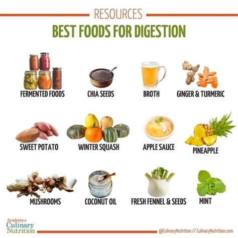 These best foods for digestion, which are commonly available at most grocery stores, are comforting and very delicious! Essen, Best Foods For Digestion, Foods For Digestion, Foods Good For Digestion, Easy To Digest Foods, Rope Workout, Gut Health Recipes, Food For Digestion, Colon Health