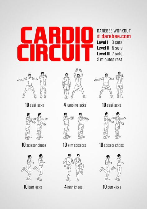 Cardio Circuit Workout Cardio Circuit Workout, Mens Cardio Workout, Fat Loss Cardio, Cardio Workout Gym, Beginner Cardio Workout, Beginners Cardio, Circuit Training Workouts, Gym Workout Guide, Cardio Circuit