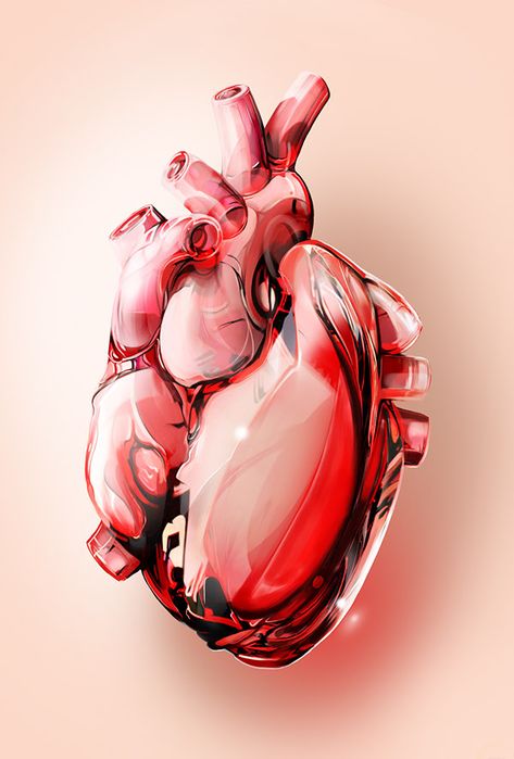 Human Heart Anatomy, Anatomical Heart Art, Illustration Art Nouveau, Art Tumblr, Heart Illustration, Medical Art, Anatomical Heart, Human Heart, Beating Heart