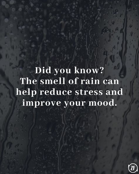 Did you know? The smell of rain can help reduce stress and improve your mood. Proverbs, Smell Of Rain Quotes, Raining Quotes, Quotes About Rain, The Smell Of Rain, About Rain, Rain Quotes, Smell Of Rain, Travel And Leisure