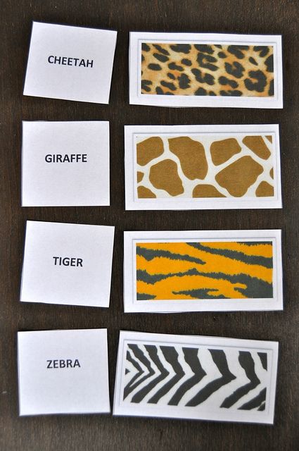 Zoo Animal Texture Cards | Flickr - Photo Sharing! Animal Curriculum For Preschool, Zoo Lessons, Preschool Zoo Theme, Jungle Activities, Preschool Jungle, Zoo Animal Art, Zoo Preschool, Animal Texture, Zoo Activities