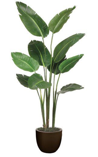 You'll love the Bird of Paradise Floor Plant in Planter at Wayfair - Great Deals on all Décor & Pillows products with Free Shipping on most stuff, even the big stuff. Plants In Baskets, Tanaman Indoor, Tanaman Pot, Artificial Plants Decor, Paradise Plant, Artificial Plant Wall, Artificial Plants Indoor, Artificial Plants Outdoor, Hanging Plants Indoor