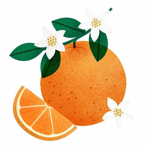 Citrus Fruit Illustration, Orange Flowers Drawing, Oranges Illustration, Roku Gin, Weekend Painting, Fruits Illustration, Orange Illustration, Orange Craft, Food Illustration Art