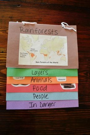 Layers Of The Rainforest Craft, Booklet Ideas Student Project, Layers Of The Rainforest, Rainforest Classroom, Rainforest Crafts, Rainforest Project, Rainforest Activities, Rainforest Theme, Forest Book