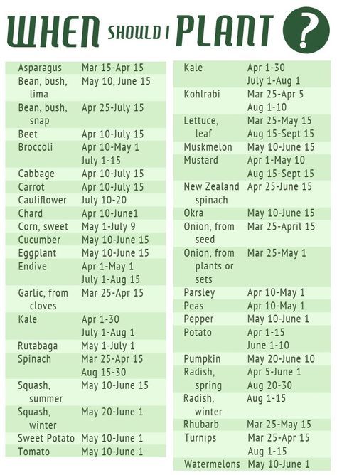 Vegetable Planting Schedule Flowers Garden, Planting Vegetables, Planting Calendar, Garden Plants Vegetable, When To Plant Vegetables, Diy Gardening, Veg Garden, Home Vegetable Garden, Food Garden