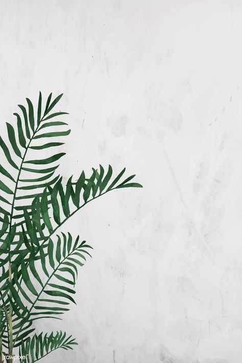 Blank parlor palm frame design vector | premium image by rawpixel.com / NingZk V. Leaves Wallpaper Iphone, Brick Background, Parlor Palm, Tropical Background, Plant Background, Leaves Wallpaper, Whatsapp Wallpaper, Forest Illustration, Framed Wallpaper
