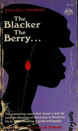 The Blacker The Berry, African American Books, Books By Black Authors, Black Literature, Empowering Books, Recommended Books To Read, 100 Books To Read, Black Authors, Reading Rainbow