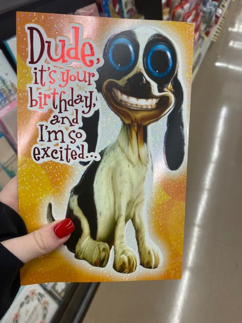 silly funny dog with big ass eyes Incelcore Outfit, Puppycore Outfits, Incelcore Aesthetic, Outfit Ideas Cutecore, Puppycore Aesthetic, Cutecore Outfit Ideas, Relatable Notes, Mommy Isuess Core, French Core
