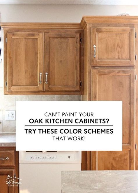 Oak Kitchen Cabinets Wall Color, Updating Oak Cabinets, Oak Kitchen Cabinet, Modern Oak Kitchen, Modern Kitchen Colours, Honey Oak Cabinets, Maple Kitchen Cabinets, Brown Kitchen Cabinets, Painting Oak Cabinets