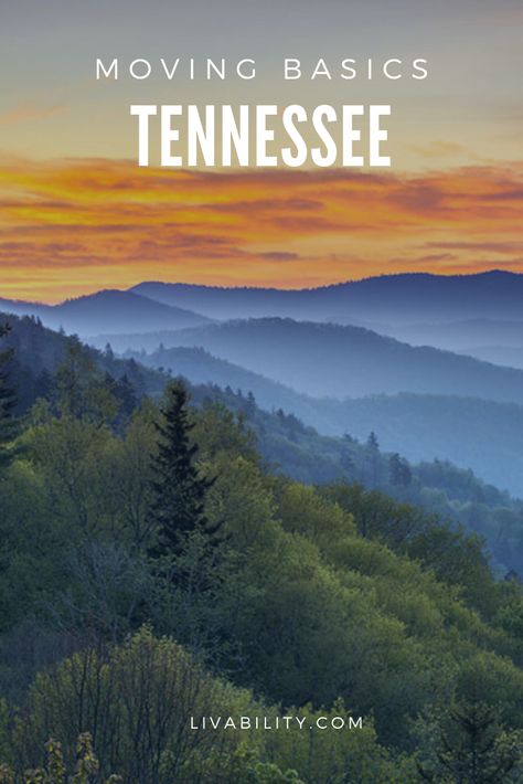 Nature, Tennessee Living Country, Best Places To Live In Tennessee, Living In Tennessee, Talkin Tennessee, Tennessee Home Decor, Tennessee Style, Southern Decorating, Mountain Home Arkansas