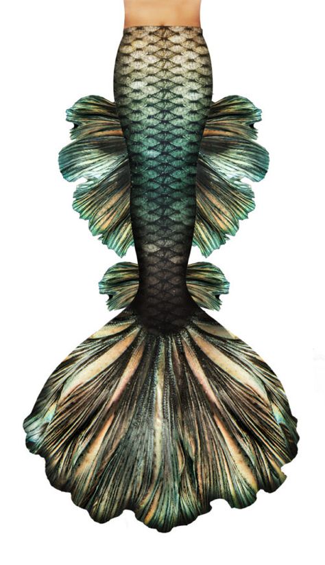 betta-mermaid-tail-sand Betta Mermaid, Draw A Mermaid, Rainbow Mermaid Tail, Mermaid Swimsuit Tail, Mermaid Swim Tail, Mermaid Photography, Silicone Mermaid Tails, Siren Mermaid, Rainbow Mermaid