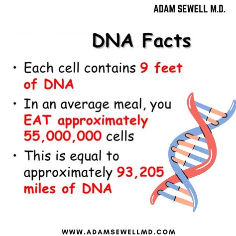 DNA Fact http://www.adamsewellmd.com . . . #WellnessForLife #WellnessWeek #WellnessCommunity #EliminationDiet #InjuryTreatment #Neuropathy #meditation #Texas #NeuropathyTreatment #pain #Health Meditation, Health, Texas, Dna Facts, Library Skills, Wellness Community, Elimination Diet, Nursing Study, Beautiful Eyes