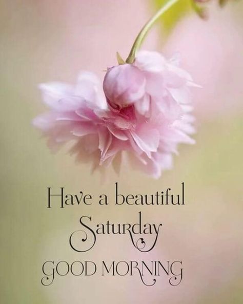 Good Morning Saturday Images with Beautiful Quotes 14 Saturday Morning Greetings, Happy Saturday Pictures, Good Morning Saturday Images, Saturday Morning Quotes, Happy Saturday Quotes, Happy Saturday Images, Saturday Greetings, Weekend Greetings, Saturday Images