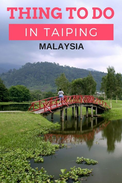 Full Guide to things to do in Taiping Malaysia, including where to stay, what to eay and visting Taiping with kids! Taiping, Taiping Malaysia, Malaysia Itinerary, Malaysia Tourism, Travel Malaysia, Backpacking South America, Backpacking Asia, Malaysia Travel, Travel Globe