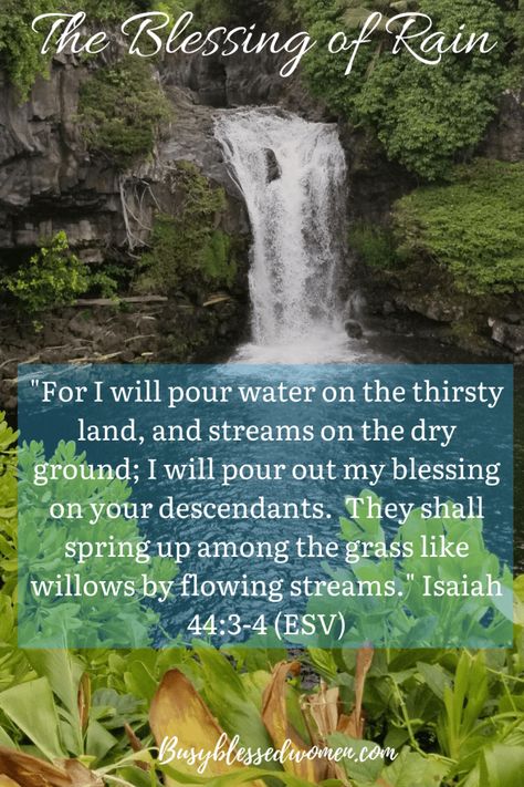 Prayer For Rain, God Provides, Showers Of Blessing, For His Glory, Rain Quotes, Inspirational Quotes For Kids, Daily Blessings, Faith Scripture, Faith Encouragement