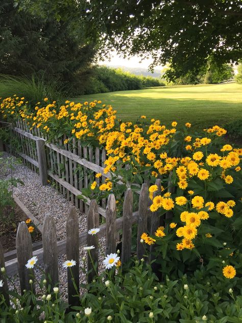 fence in landscape Modern Gardening, Tranquil Garden, Garden Landscaping Ideas, Cozy Garden, Garden Paradise, Lake Garden, Casa Country, Cottage Garden Design, Garden Veggies