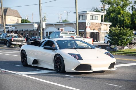 Mayonnaise color Murci, he’s pushing Miracle Whips. #lamborghini #lambo #lamborghinimurcielago #murcielago #lp640 #katiescarsandcoffee Mayonnaise, Ferrari, Lamborghini, Murcielago Lp640, Lamborghini Murcielago, Miracle Whip, Whips, Sports Car, Road