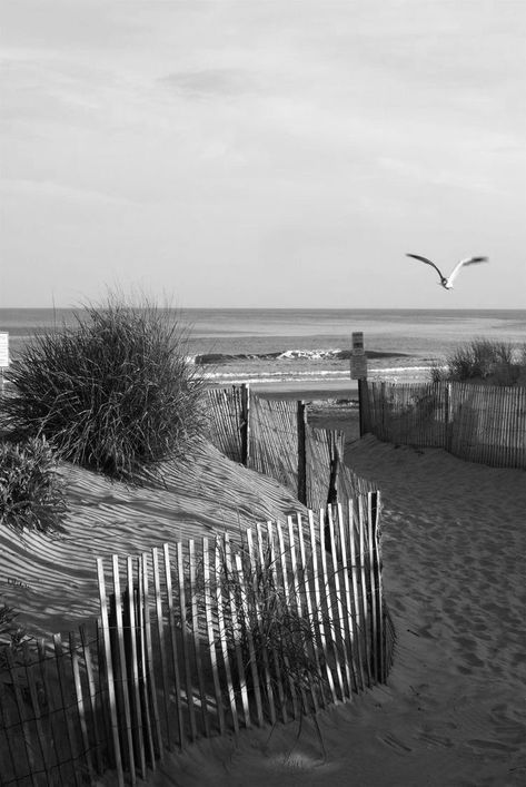 Black And White Summer Aesthetic, Personal Wallpaper, Insta Image, Black And White Beach, Black And White Photo Wall, Photo Summer, Black And White Picture Wall, Coastal Prints, Vintage California