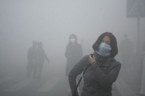 Girl Walks Through Smog In Beijing, Where Small-Particle Pollution Is 40 Times Over International Safety Standard Ecology, Harbin, China City, La Pollution, Human Activity, Life Expectancy, Environmental Issues, Air Pollution, Air Quality