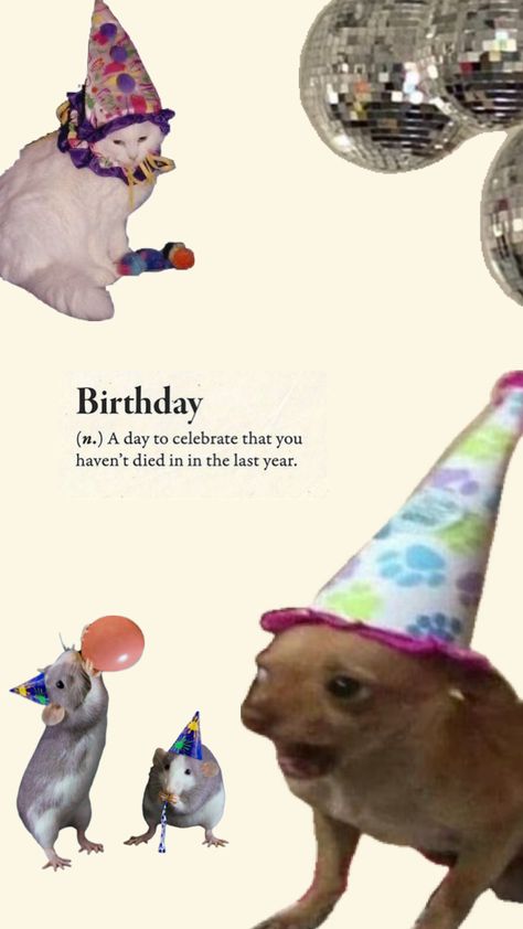 my birthday is coming up! may 19th 🤟🤟 It’s Almost Your Birthday, Everyone Forgot My Birthday, It’s Your Birthday, Its My Birthday Aesthetic, It’s My Birthday, Birthday Pfp, Soon Meme, My Birthday Is Coming, Its Your Birthday