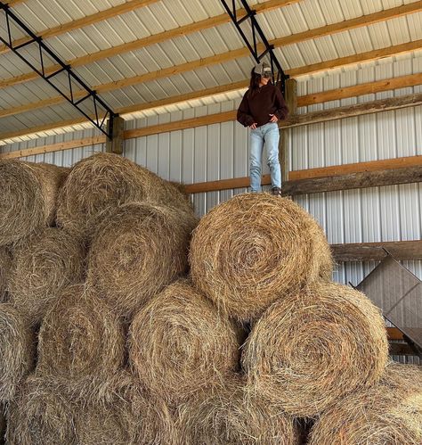 Traded palm trees for hay bales this week Hay Bales, Instagram, Trees, Palm Trees, Dream List, Quick Saves, On Instagram