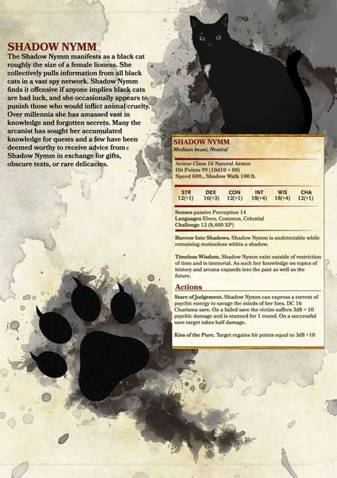 Don't play D&D but this is cool. Black Cat Familiar Dnd, Dnd Shadow Creature, Cute Dnd Familiars, D&d Side Quests, Homebrew Dnd Pets, Dnd Pet Ideas, Dnd 5e Pets, D&d Familiars, Familiar Dnd 5e