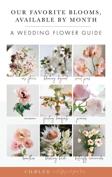 In Season Flowers November, October Flowers In Season Wedding, November Seasonal Flowers, Flower Guide Wedding, Wedding Flower Season Chart, Flowers In Season October, Flowers Of September, Flowers In November, May Flowers In Season Wedding Bouquets