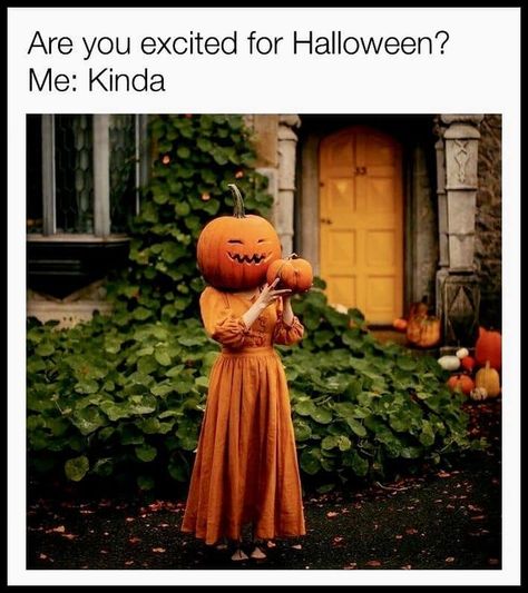 Funny Halloween Pictures, Halloween Meme, Fall Humor, Halloween Memes, Halloween Is Coming, Halloween Time, Halloween Quotes, Fall Halloween Decor, Halloween Pictures