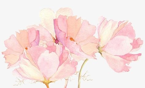 Iphone Arkaplanları, 수채화 그림, Watercolor Wallpaper, Floral Iphone, Watercolor Flower, Pink Watercolor, Wallpaper Downloads, Flower Backgrounds, Flower Wallpaper