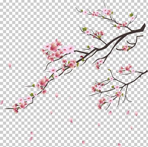 Amigurumi Patterns, Cherry Blossom Png, Shivratri Wallpaper, Cherry Blossom Vector, Cherry Blossom Drawing, Yellow Flower Art, Cherry Blossom Branches, Cherry Blossom Design, Cherry Blossom Background