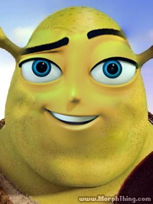 Goofy Ahh Images, Wierd Pictures, Memes Shrek, Shrek Meme, Shrek Funny, Shrek Memes, Toro Inoue, Bee Movie, Weird Images