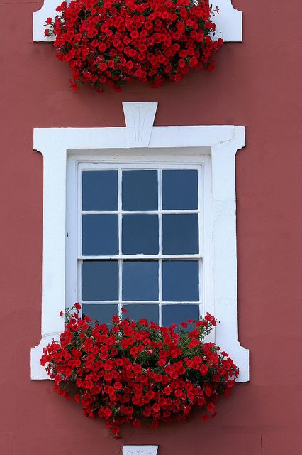 Come to my window by California Paints, via Flickr Window Boxes, Historic Colours, نباتات منزلية, Window Box Flowers, Wooden Window, Flower Window, White Windows, Beautiful Windows, Garden Windows