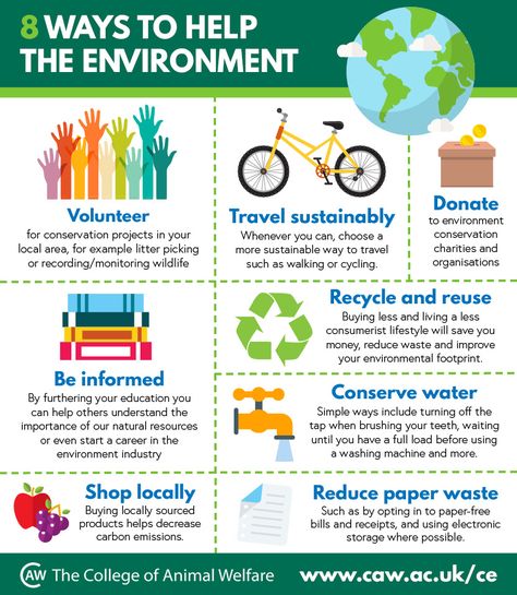 From volunteering in our local communities to travelling more sustainably and shopping locally, today is a natural opportunity to think about what we can do to help protect our planet. As a starting point, here we've shared some ways we can help the environment! You can find out more about our introductory course all about the countryside and environment on our website! #worldenvironmentday #earth #environment #conservation #environmentalprotection Essay Aesthetic, Environment Conservation, Reflective Essay, Write Essay, Environment Projects, Earth Environment, Informative Essay, Save Environment, English Grammar Worksheets